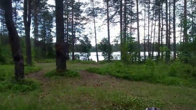Шушары | Лемболово | Васкелово | озёра смотреть онлайн