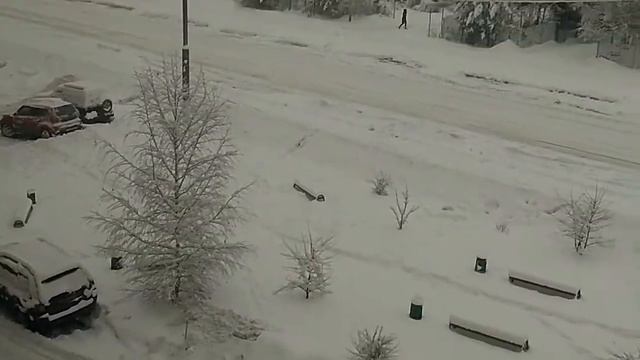 Москву и область замело снегом. Зимняя сказка .31.01.18 смотреть онлайн