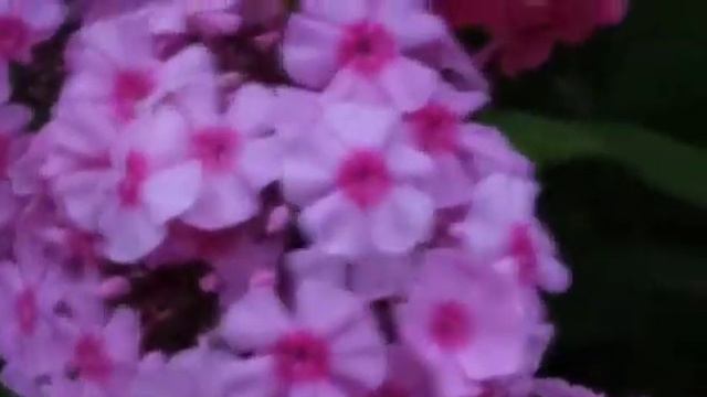 20 июля 2022 г. смотреть онлайн