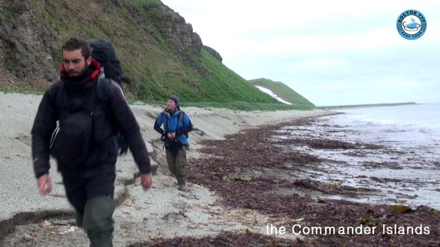 Invitation To Journey On Afina Ship, 2017