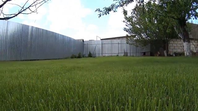 Газонная трава семена kupiON смотреть онлайн