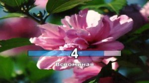 КАРАОКЕ для ДЕТЕЙ Песня О Волшебном Цветке