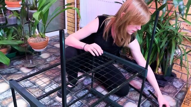 Размещение орхидей! Удобные и функциональные стеллажи смотреть онлайн