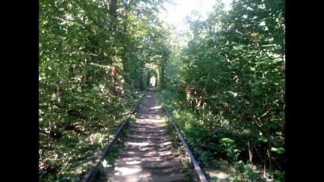 Клевань (архів) смотреть онлайн