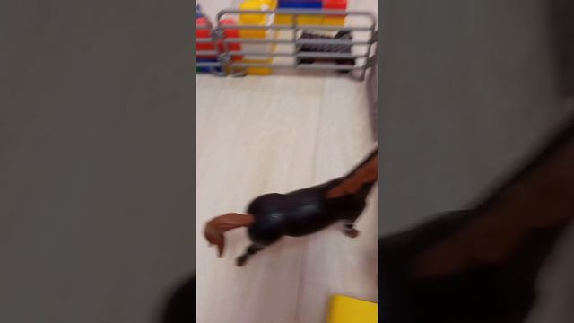 про что думает лошадь в человеческом мире лошади и люди смотреть онлайн