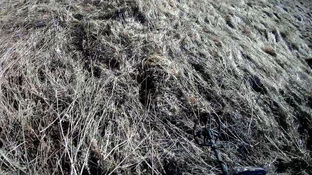 Коп чермета в Урочище с тх-850 смотреть онлайн