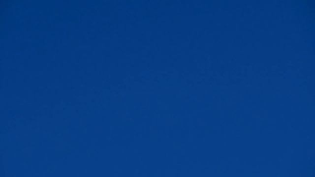 Eagles Everywhere (better footage) Nikon Coolpix: A Sign, look at all these Eagles! смотреть онлайн