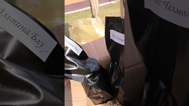 Клематисы от Александровой Светланы. Распаковка посылки смотреть онлайн