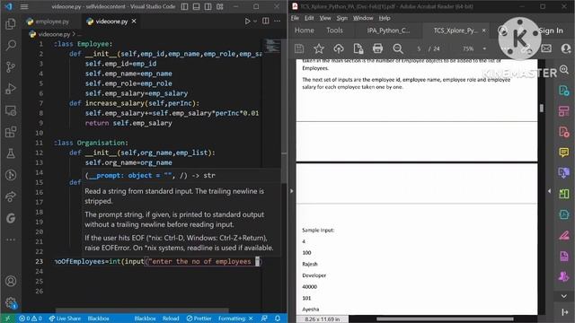 IPA PYTHON EMPLOYEE 1 SOLVED QUESTION 1 смотреть онлайн