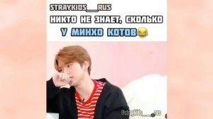 Смешные и милые моменты с Stray Kids из Инстаграм [3]