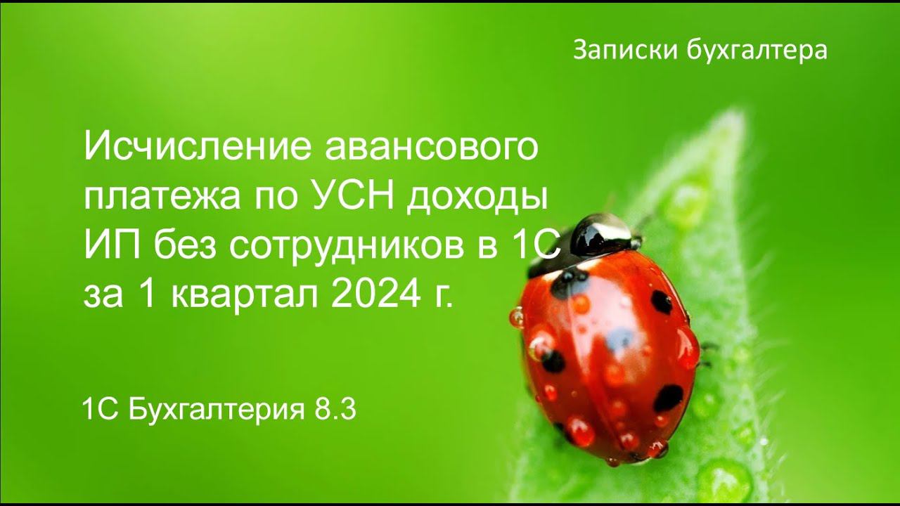 Расчет авансового платежа ИП без сотрудников на УСН доходы за 1 квартал 2024 года в 1С смотреть онлайн