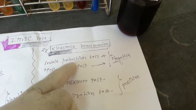 Klebsiella Pneumoniae  Introduction, Pathogenesis, Lab Diagnosis And Treatment