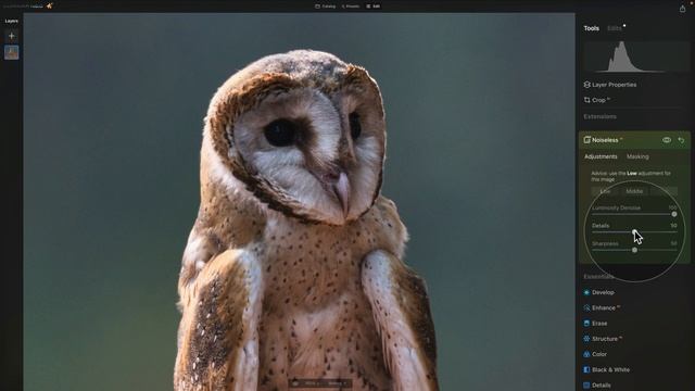 Noiseless AI: How to REMOVE NOISE from JPEG Files смотреть онлайн