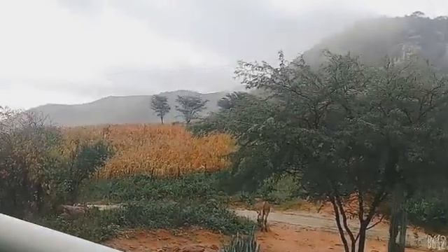 Pernambuco Serra talhada sitio paus branco смотреть онлайн
