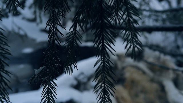 О стабильности, блогерах, юзерах и водопадах в новом новом Новом году. смотреть онлайн
