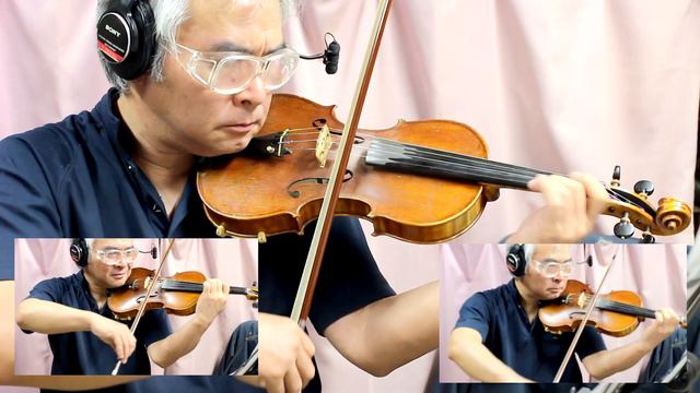 Vivaldi The Four Seasons Spring 2 ヴィヴァルディ四季 春 2楽章 violinバイオリン弾いてみた смотреть онлайн