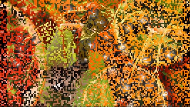 ✅ Удаление пигментных пятен. Как избавиться от пигментных пятен. Как вывести пигментные пятна