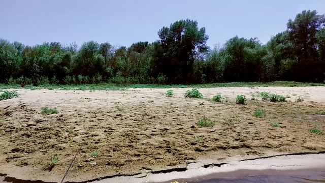 Ахтуба 2023. Медитация.