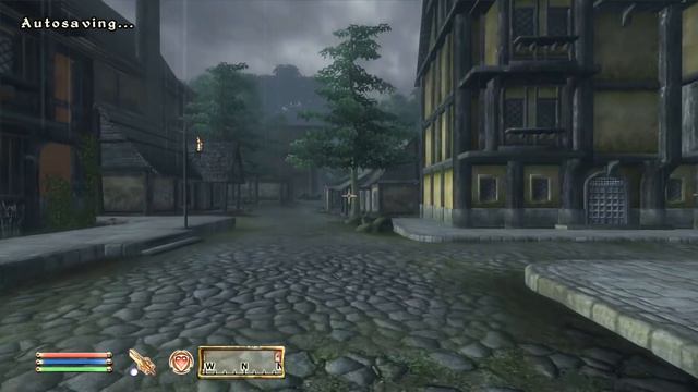 Let's 100% Oblivion Part 150 - Dar'Vesh The Well-Trained Kitty