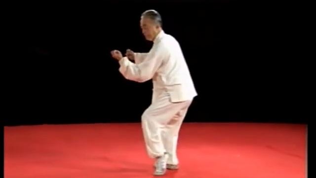 Ma Hong Chen Style Taijiquan First Frame Yi Lu