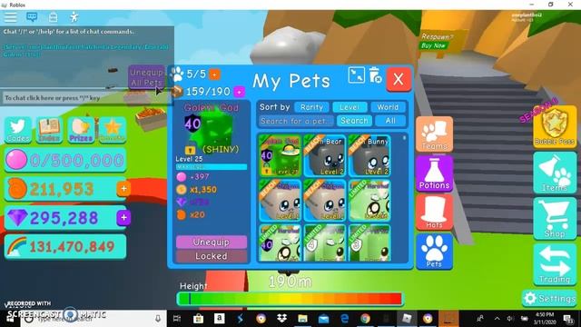 CURSED TEAM AND PETS SHOWCASE смотреть онлайн