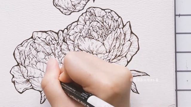 Watercolor Botanical Illustration How to Draw Peony Series #12 Old Faithful 10 minutes смотреть онлайн