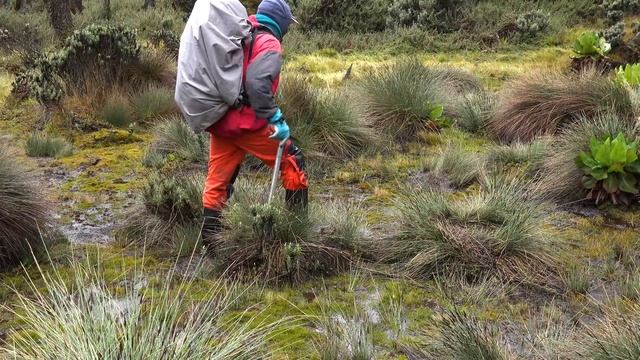 Rwenzori: Mountains of the Moon, Uganda [Amazing Places 4K] смотреть онлайн