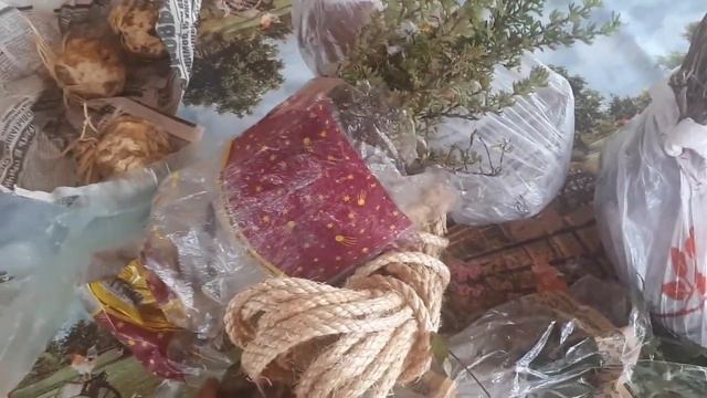 Срочно едем на дачу! Зачем ? Сейчас расскажу! смотреть онлайн