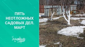 Пять неотложных садовых дел в марте