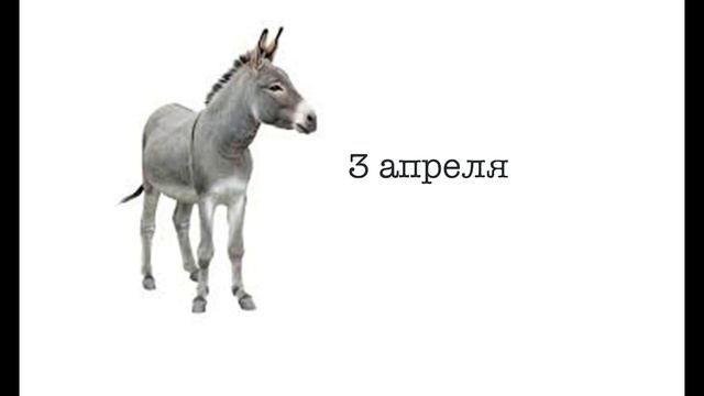 Упрямый ослик | Усатые, пернатые и хвостатые смотреть онлайн