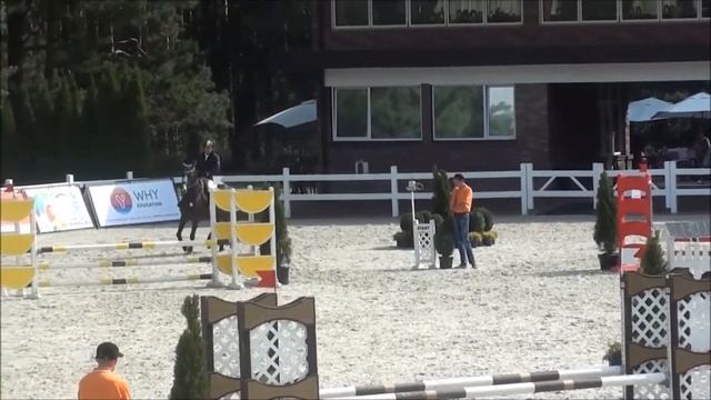 Продажа! Вестфальская молодая конкурная кобыла! смотреть онлайн
