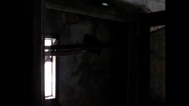 Куры зимой. Что едят, где спят, чем болеют, как линяют. смотреть онлайн