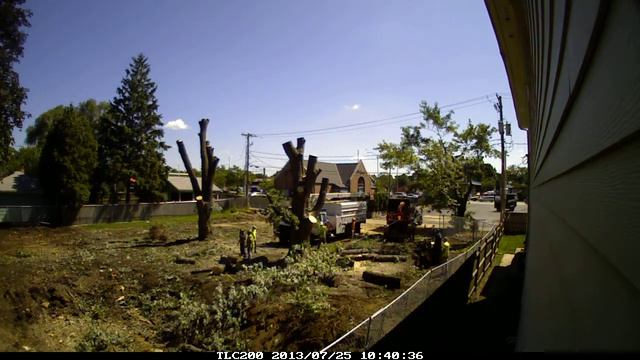 Tree removal 1 смотреть онлайн