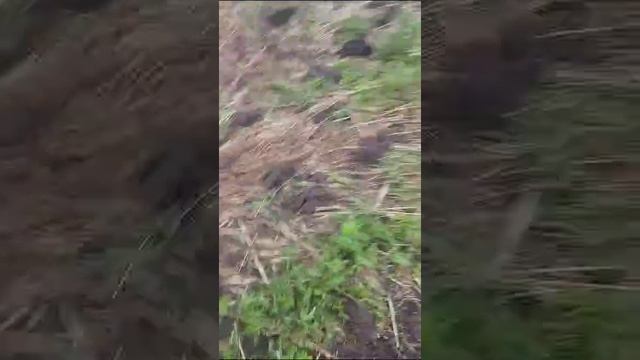 Российские Бойцы Собирают Трофеи С НАТОвских Машин смотреть онлайн