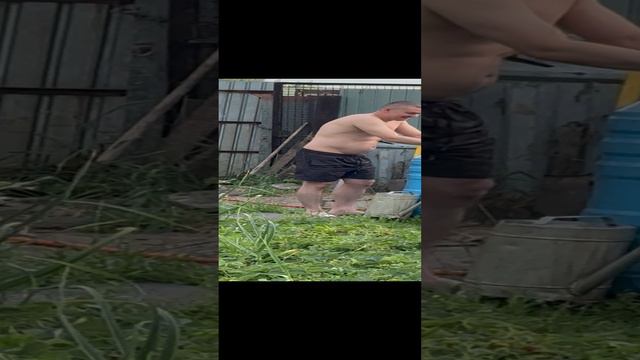 Му му и Герасим. Животные. Собаки. Лето. Жара. Дача. Сад. #zoo#отдых