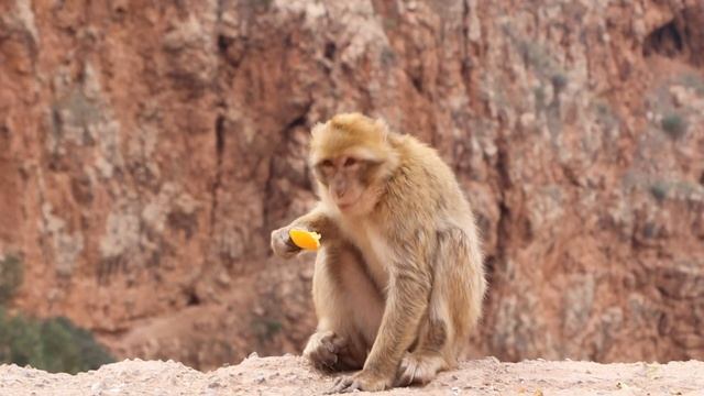 MOROCCO TRAVEL (2023) | 10 Beautiful Places To Visit In Morocco (+ Itinerary Suggestions)