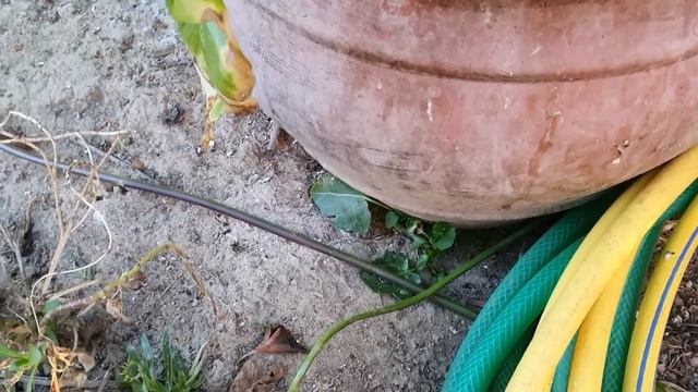 У мужа климакс, ищет причину хочет скандала . смотреть онлайн