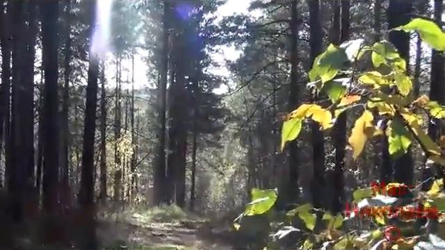 Приворот на тропу (тропинку) Деревенская магия. смотреть онлайн