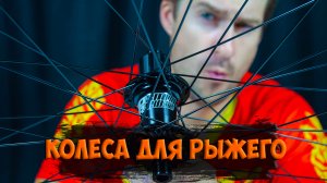 Велосипедные колеса Koozer xm490pro для проекта Рыжий с Aliexpress