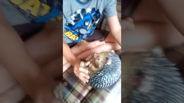 Как достать мелочь из копилки не разбивая её?! смотреть онлайн