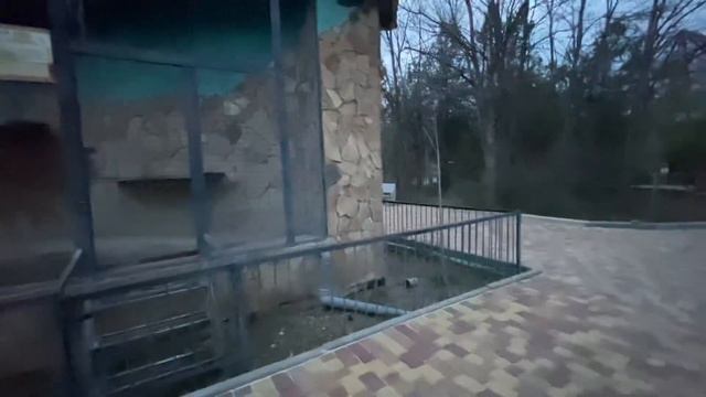 Вечер в Тайгане! Волчица Ева ТАК ПРЫГНУЛА! смотреть онлайн