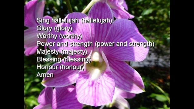 singanewsong смотреть онлайн