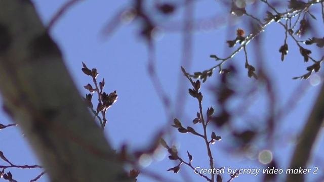 Красивая музыка. Ernesto Cortazar. To become a butterfly. смотреть онлайн