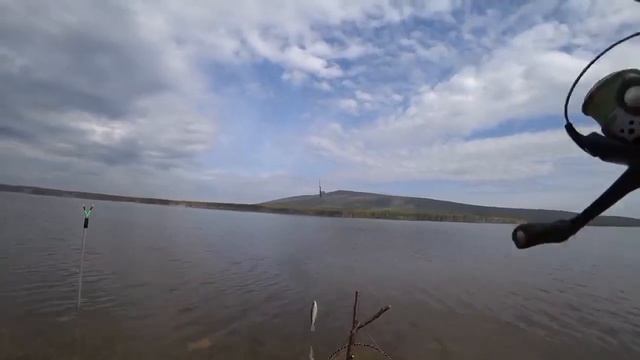 Рыбалка на Фидер #fishing #рыбалка #фидер смотреть онлайн