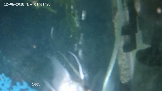 Hikvision моторизированная PTZ камера DS-2DE1A400IW-DE3 2.8мм