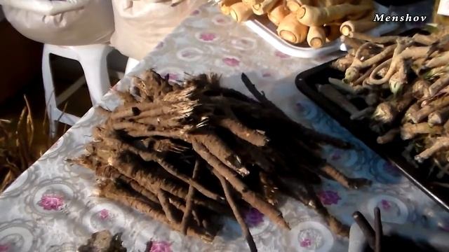 Корни колючки мыколайчики Польза, вид смотреть онлайн