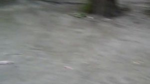 Как мальчики бьют девочек