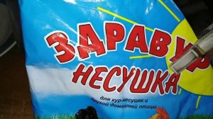 Куры несут яйца каждый день! Чем кормить курей? соевый шрот для кормления кур