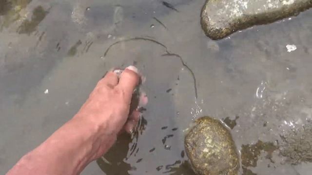 Странный черный камень будут рассматривать. A strange black stone will be considered. смотреть онлайн