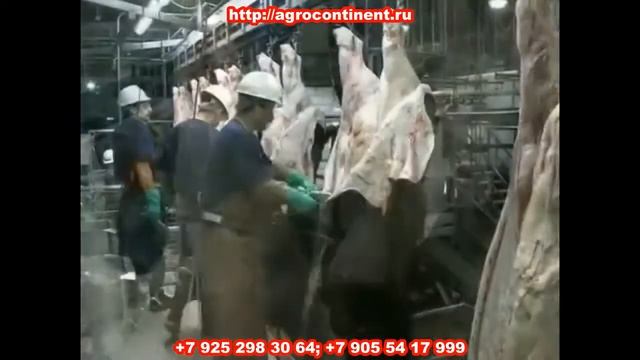 Забеловочный нож, для снятия шкуры КРС смотреть онлайн